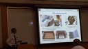 Gianfranco_Rizzo_presenting_HySolarKit_at_AAC13_in_Tokyo